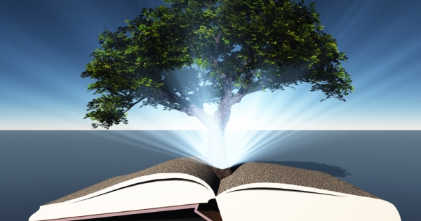 iStock_000069014875_Small_book_and_tree_website_600x315