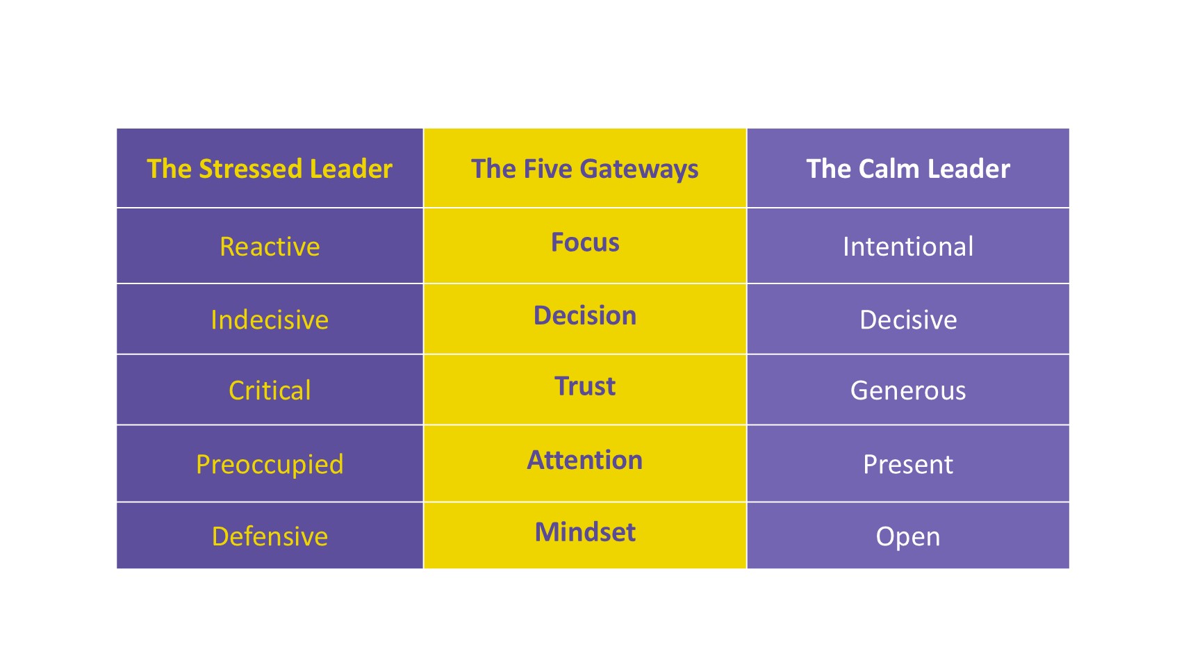 Calm_leader_VM_v1